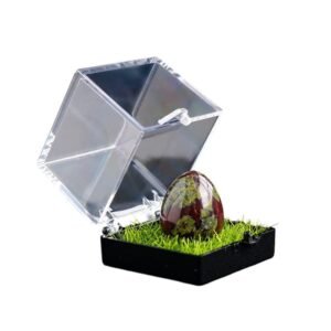 11 Types of Small Crystal Egg Specimens Wholesale